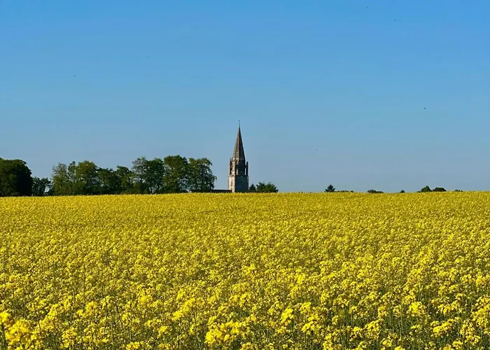 Lodge Le D'orezza-bain Nordique Privatif